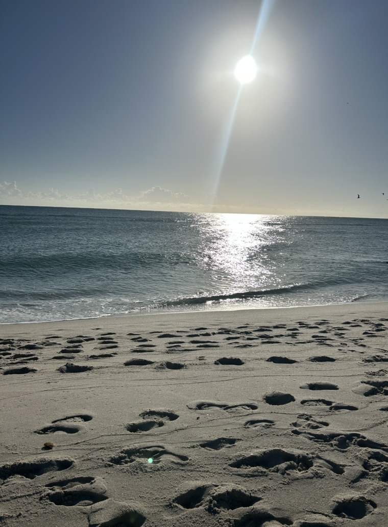 Beach shoreline with sun reflecting on the ocean